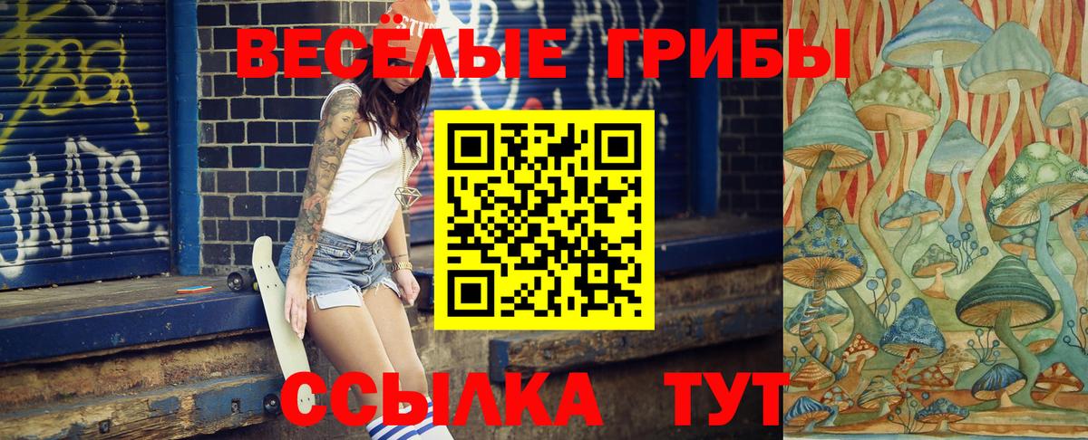 Псилоцибиновые грибы прущие грибы  Вход с VPN  Химки 